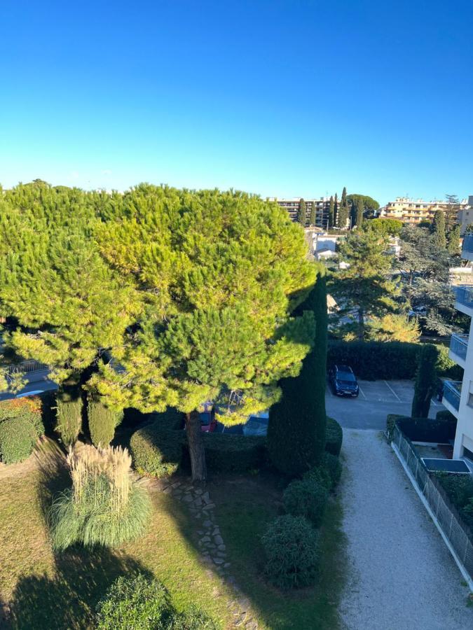 Superbe Studio En Residence Proche De La Mer Cagnes-sur-Mer Exteriör bild